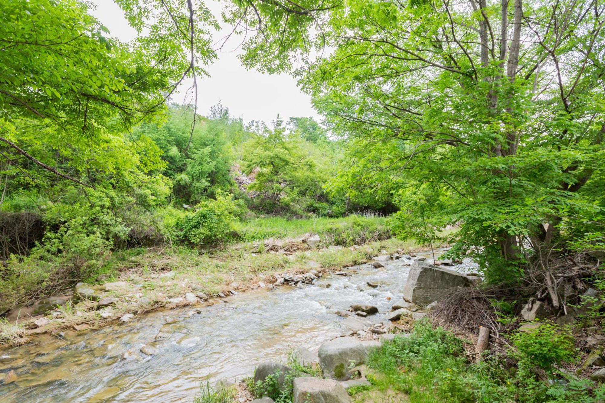 Bongpyeong Moolsori Pension Пхьончхан Екстер'єр фото